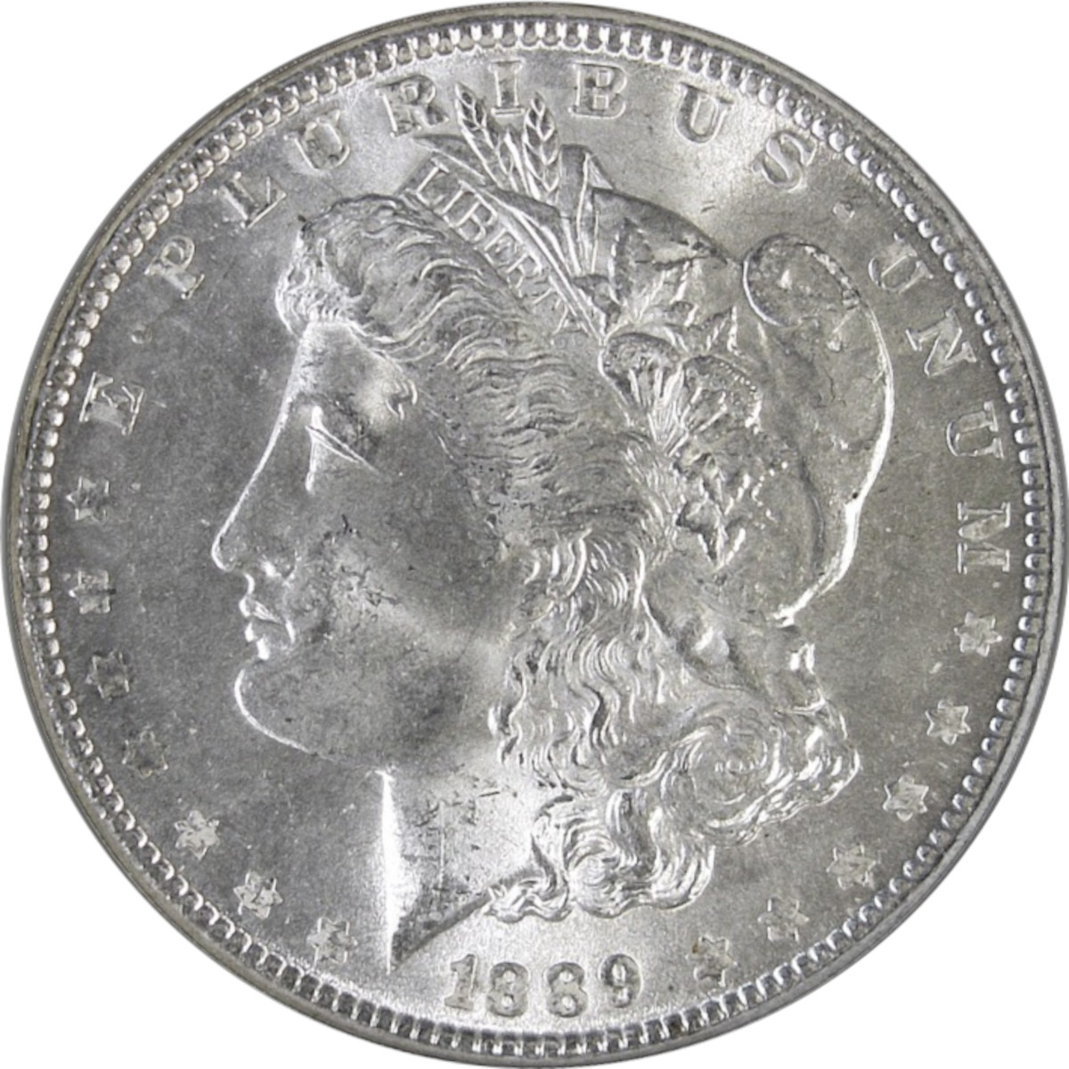 1889-$1-Morgan-Dollar-#14